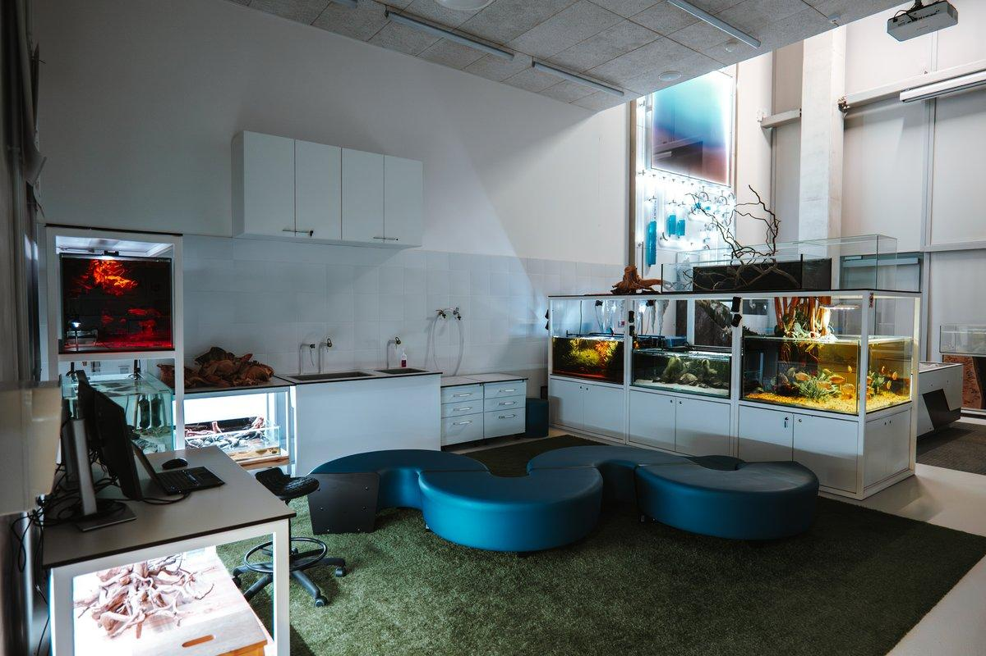 Laboratorium Przyrody w Cogiteonie z akwariami i stanowiskami edukacyjnymi.
